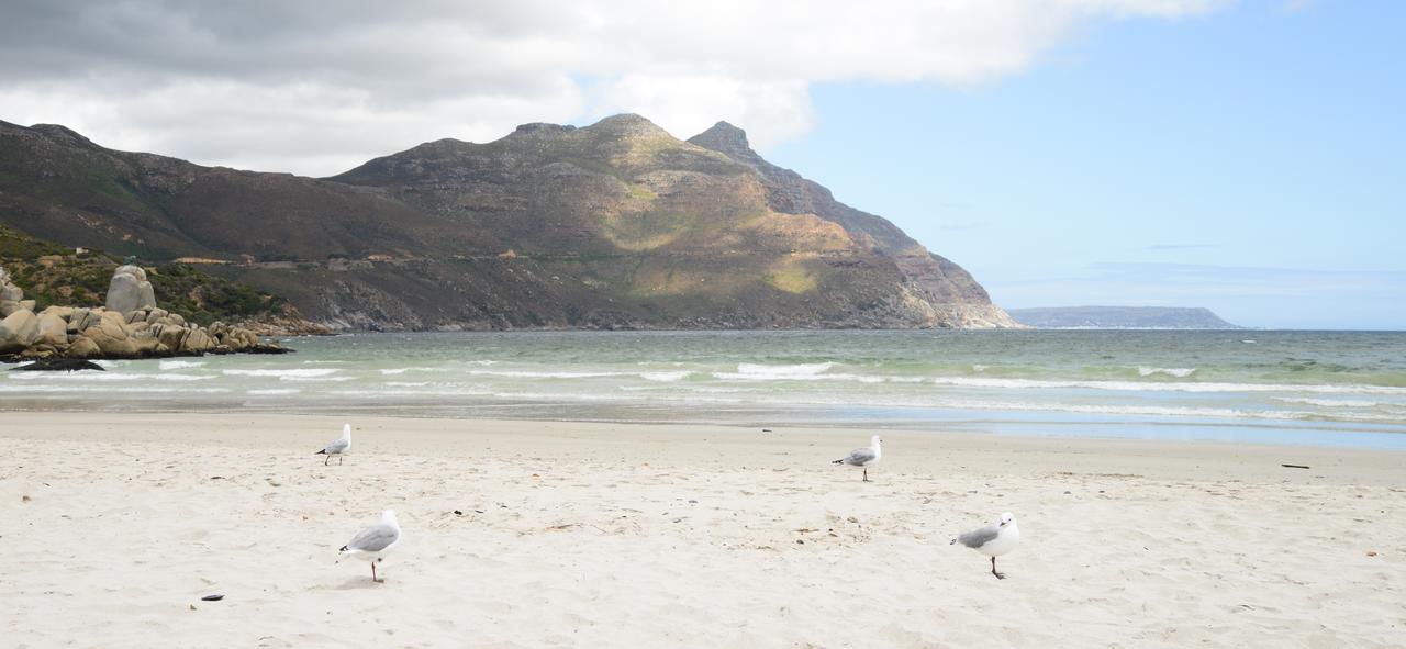 Dk Villas 1 Harbour View Hout Bay Exterior foto